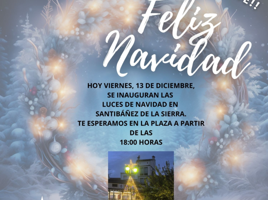 Encendido de luces de navidad