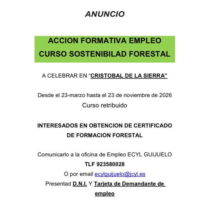 Acción formativa de empleo